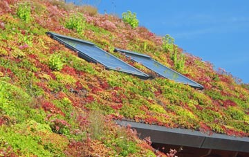 Herston living roof systems